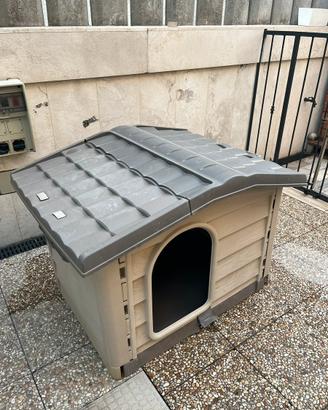 Casetta per cane