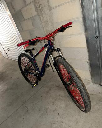 bici kross level