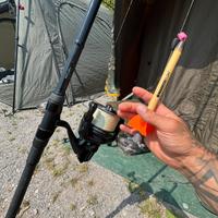 Canna da pesca carpfishing (daiwa wisker df)