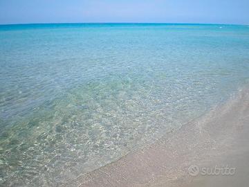 Victor Village Settimane centrali di Agosto