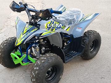Quad Lem 110 cc