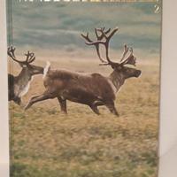 Heinz Sielmann: Vita degli animali