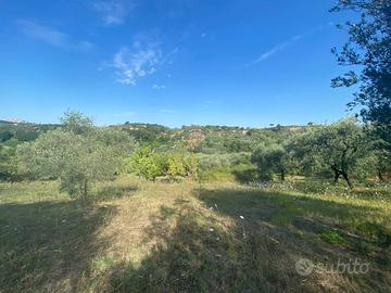 TERRENO DI 3,350 mq. A PALOMBARA