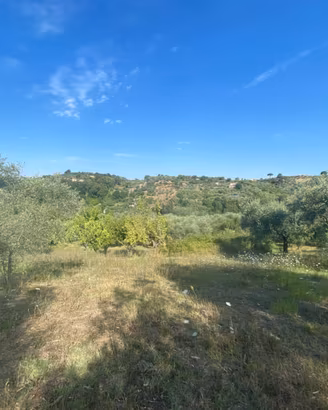 TERRENO DI 3,350 mq. A PALOMBARA