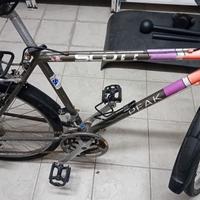 Bicicletta Scott Peak mtb