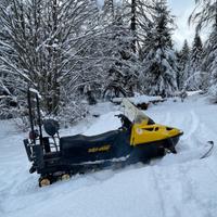 Motoslitta Ski-doo Skandic