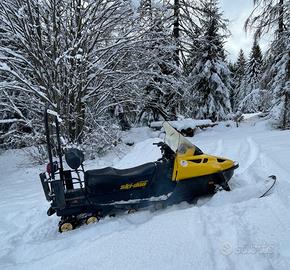 Motoslitta Ski-doo Skandic