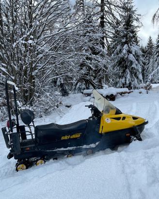Motoslitta Ski-doo Skandic