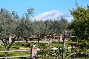 Azienda Agrituristica