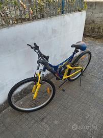 bicicletta 26