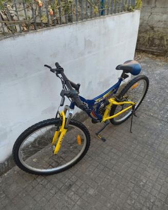 bicicletta 26