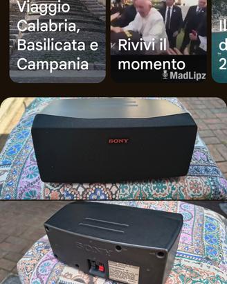 cassa altoparlanti aggiuntiva Sony 