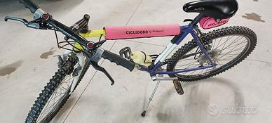 Bicicletta motobike