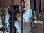Immagine 3