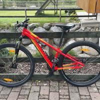 Bici Specialized mtb