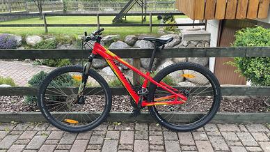 Bici Specialized mtb