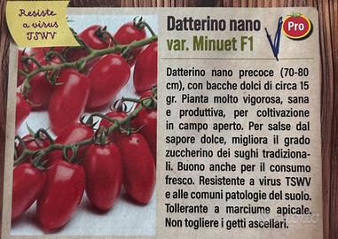 Semi pomodori