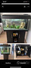 Acquario 250 L , Completo con Mobile, Filtro, LED