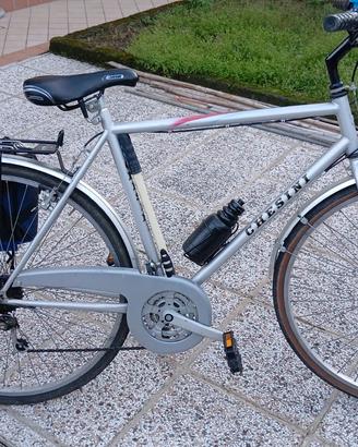 bicicletta CHESINI