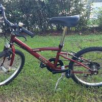 bici MTB del 20 