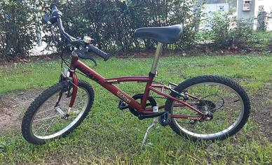 bici MTB del 20 