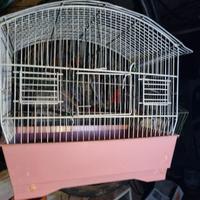 tre gabbietta  uccellini+ accessori 