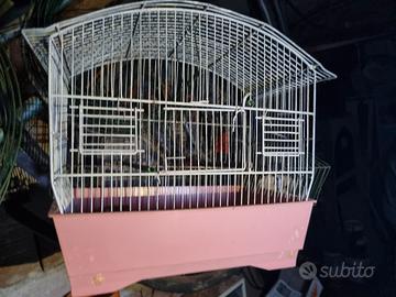 tre gabbietta  uccellini+ accessori 