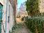 Immagine 14