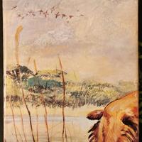 IL COCKER i classici della cinofilia