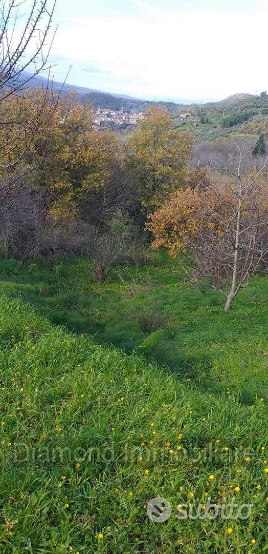 Proprietà agricola con casolare a Linguaglossa - Vista 4