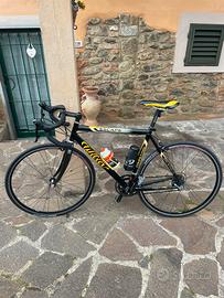 Willier triestina