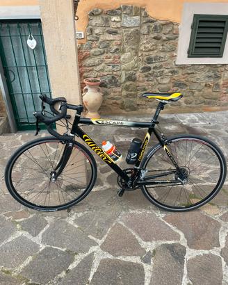Willier triestina