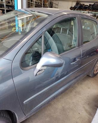 Porta anteriore sx nuda PEUGEOT 207 del 2007