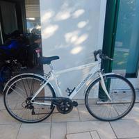 Bici da uomo marca Bandiziol.