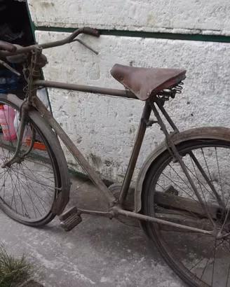 Due biciclette epoca