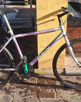 Bici adulto