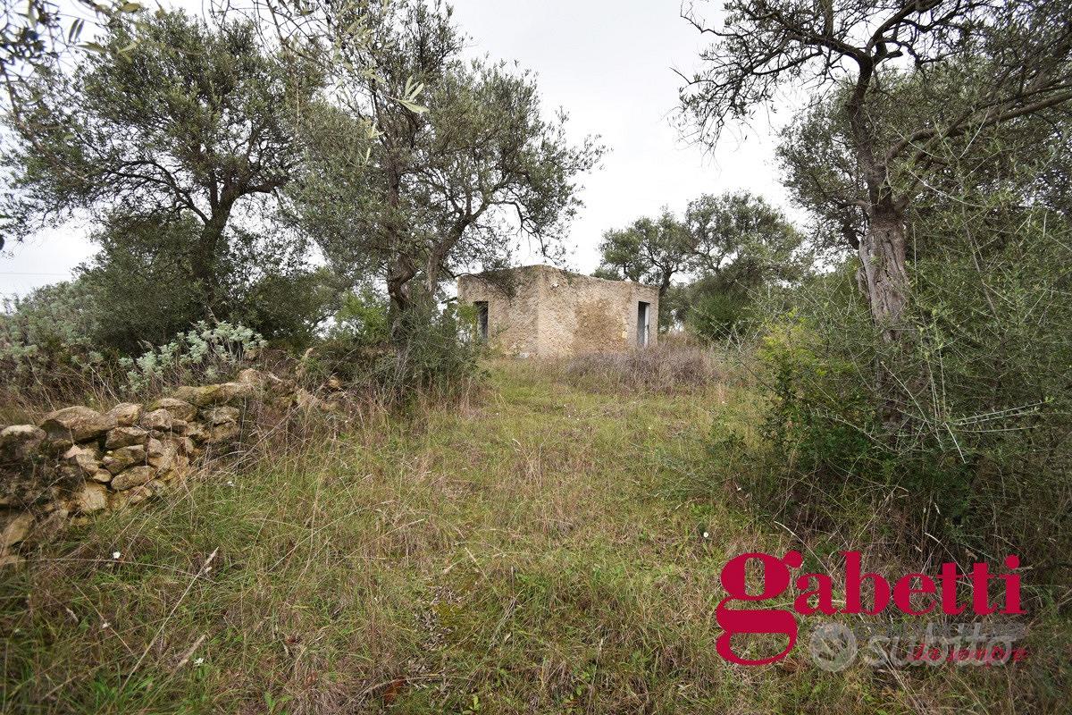 Terreno Agricolo Sorso [cod. rif6000745VRG] - Vista 5