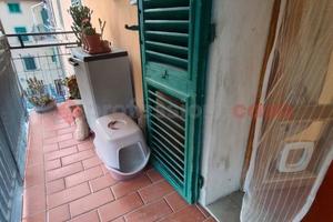 Appartamento Castelfiorentino [1/0524VRG]