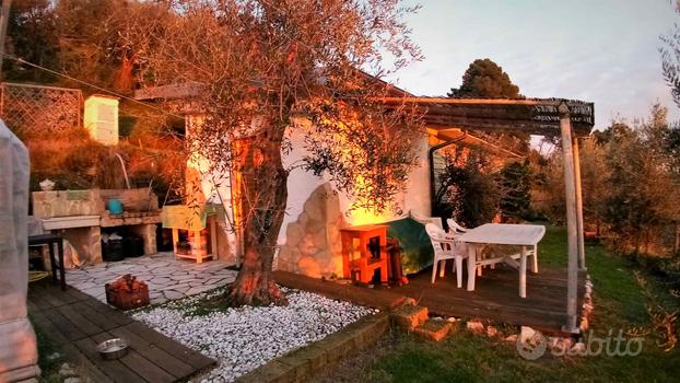 Oliveto con Chalet in collina fronte mare