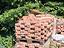 Immagine 2