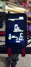 Bici elettrica 1000 w