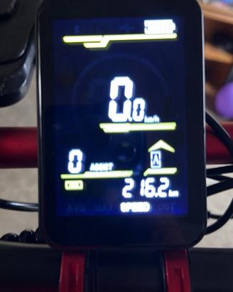 Bici elettrica 1000 w