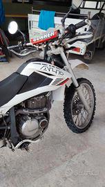 beta alp 4