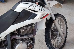beta alp 4