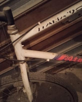 MTB 26 Atala