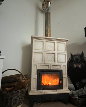Stufa a legna ventilata Rigatti