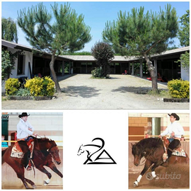 2a quarter horses Asd scuola di equitazione
