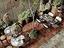 Immagine 9