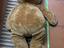Immagine 2