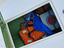 Immagine 4